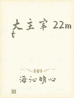 大主宰 22mt