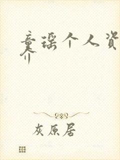 童瑶个人资料简介