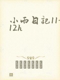 小雨日记11-12h