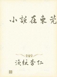 小说在东莞