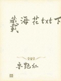 藏海花txt下载