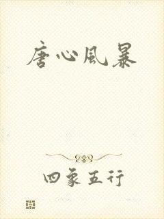 唐心风暴