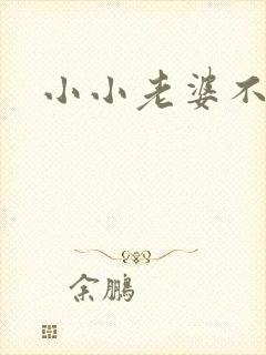 小小老婆不受宠