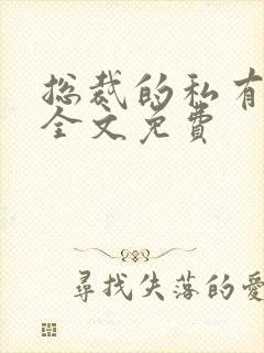 总裁的私有宝贝全文免费