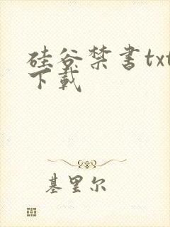 硅谷禁书txt下载