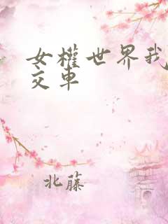 女权世界我是公交车