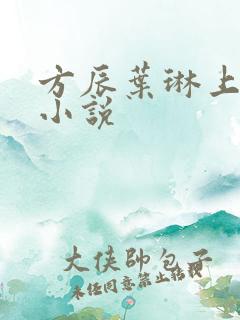 方辰叶琳上官步小说