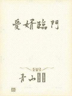 爱婿临门