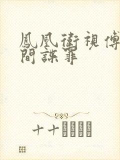 凤凰卫视傅晓甜间谍罪