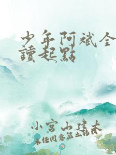 少年阿斌全文阅读起点