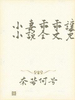 小妻乖乖让我宠小说全文免费阅读