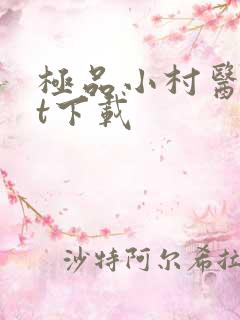 极品小村医txt下载