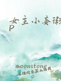 女主小妾卫府NP