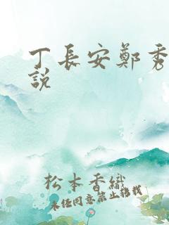 丁长安郑秀兰小说