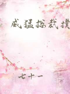 威猛总裁扑娇妻