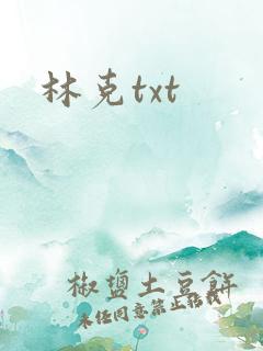 林克txt