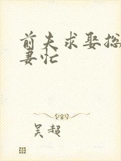 前夫求娶总裁追妻忙