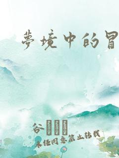 梦境中的冒险家
