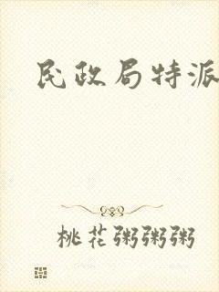 民政局特派对象