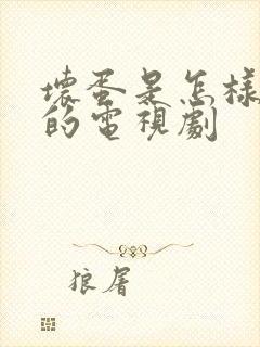 坏蛋是怎样炼成的电视剧