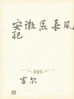 安徽区长风流日记