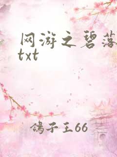 网游之碧落黄泉txt