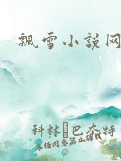 飘雪小说网