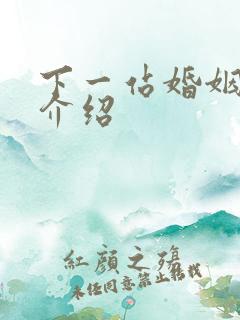 下一站婚姻剧情介绍