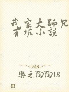 我家大师兄脑子有坑小说