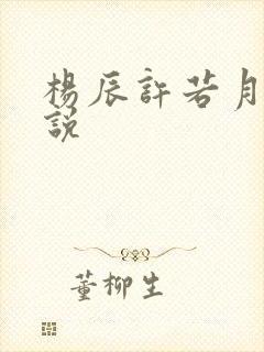 杨辰许若月的小说