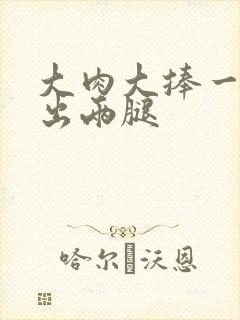 大肉大捧一进一出两腿