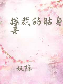 总裁的贴身下堂妻