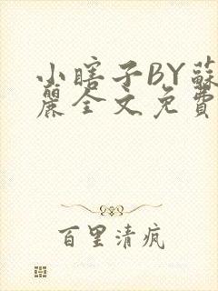 小瞎子BY苏玛丽全文免费笔趣阁