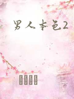 男人本色2