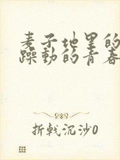 麦子地里的故事躁动的青春小说