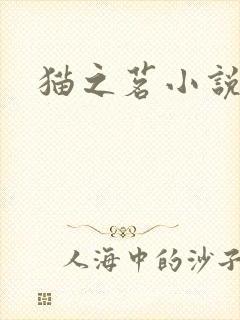 猫之茗小说