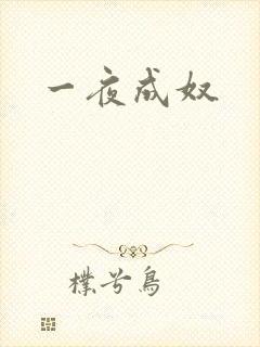 一夜成奴
