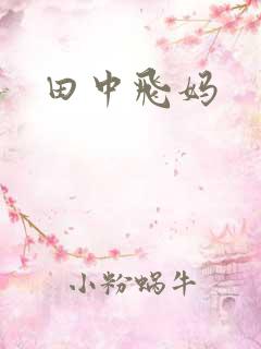 田中飞妈