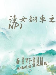 渣女翻车之后(NP)