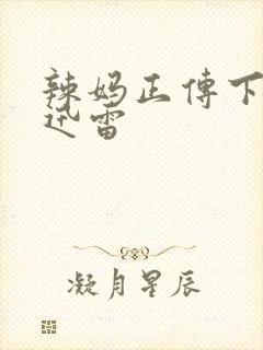 辣妈正传下载 迅雷