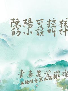 陈阳可控核聚变的小说叫什么名字