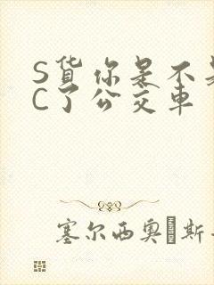 S货你是不是欠C了公交车