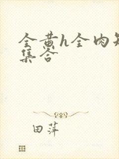 全黄h全肉短篇集合