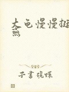 大龟慢慢挺进张燕