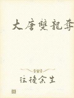 大唐双龙夺艳记