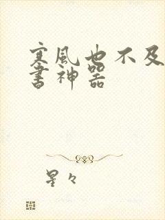 寒风也不及她追书神器