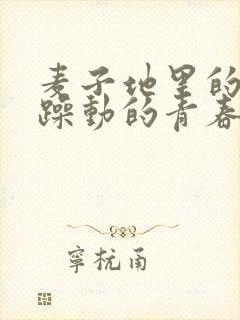 麦子地里的故事躁动的青春小说