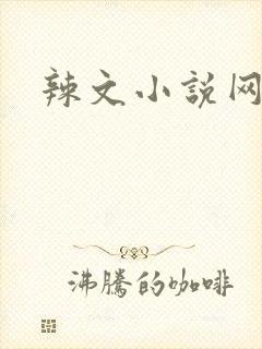 辣文小说网