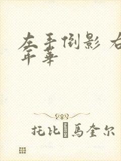 左手倒影 右手年华