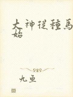 大神从种马文开始